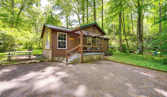 Pet-Friendly Creekside Cabin w/Pool Access!