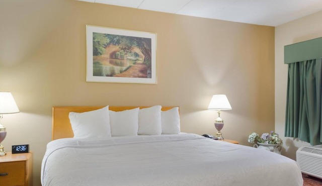 Pet-Friendly Deluxe King Bed Stay | 15 Mins to Providence | Free Parking & Bfast