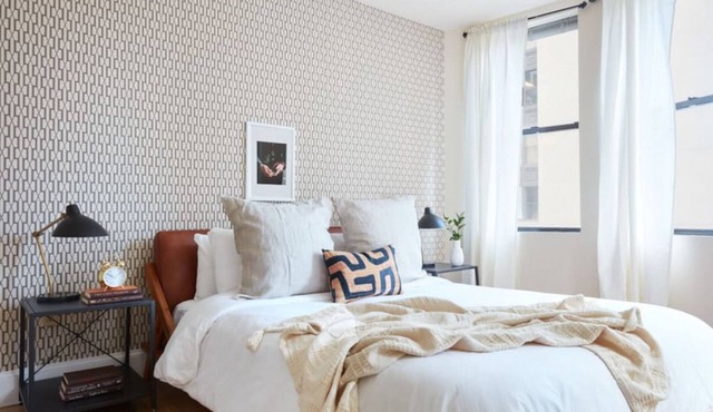 Pet Friendly - Elevator - Laundry in Bldg - FIDI