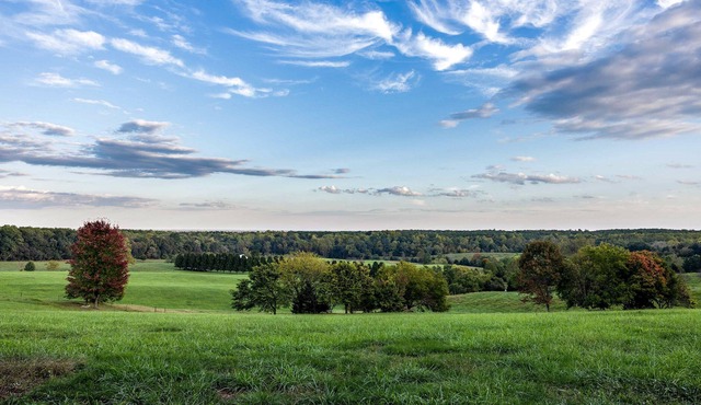 Pet-Friendly Esmont Cabin on Historic Farm