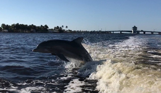 Pet-Friendly/Family-Friendly Waterfront Vacation Rental + Free Boat Dockage!