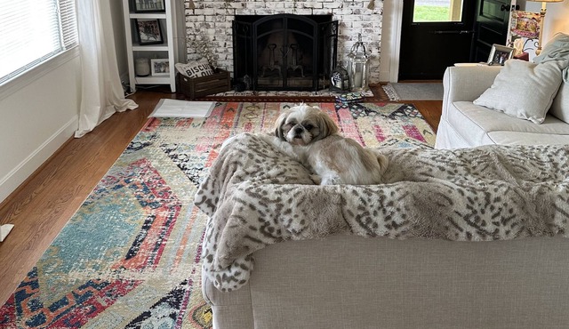 Pet friendly, Feel at home farmhouse with large deck. 15 minutes to downtown.