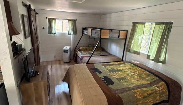 Pet friendly Fun Family Cabin- 3 Beds, Fireplace, Horseshoes, Swing, Hottub