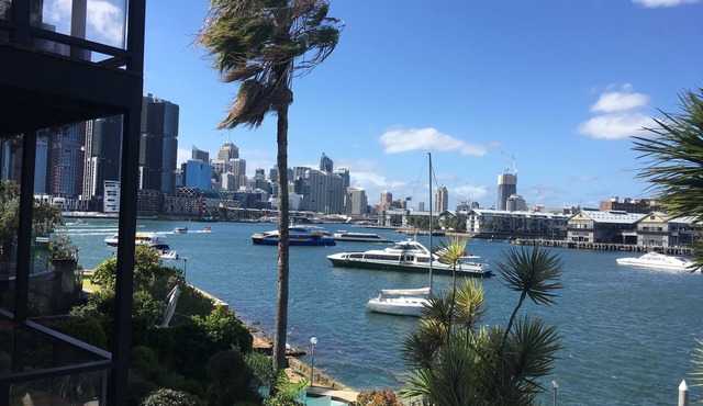 Pet friendly getaway on the edge of the world’s most stunning harbour!