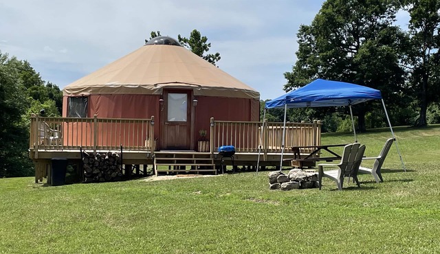Pet friendly glamping in a private yurt with stunning 360° views by Forest