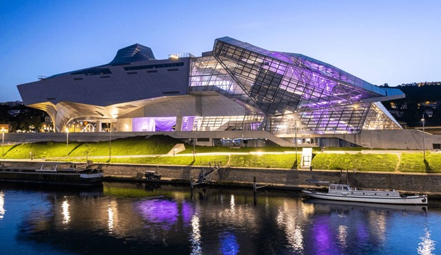 Pet-Friendly Haven Near Parc de la Tête d'Or