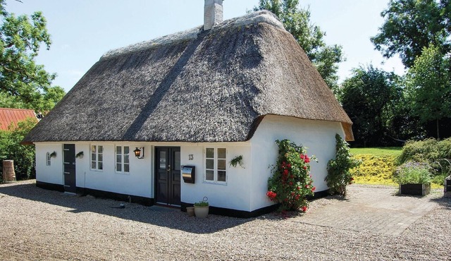 Pet friendly home in Christiansfeld