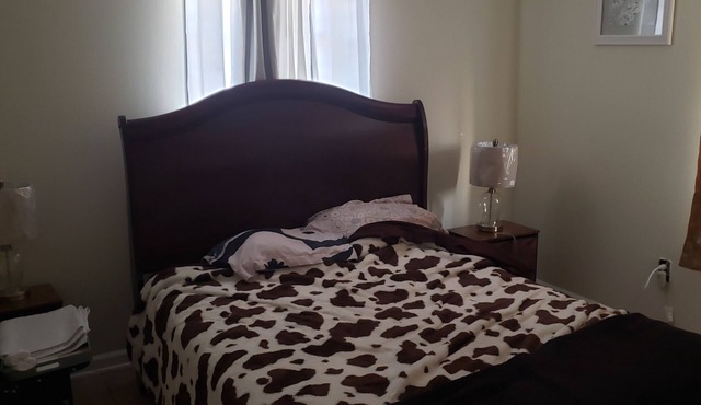 Pet Friendly Home 1/2 mile away from park and 5.5 miles from the french quarter