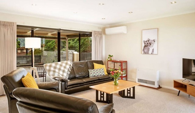 Pet friendly home with sea views