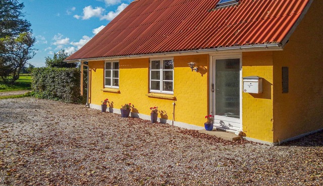 Pet friendly home in Bedsted Thy