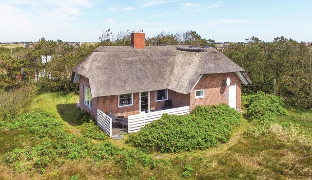 Pet friendly home in Hvide Sande