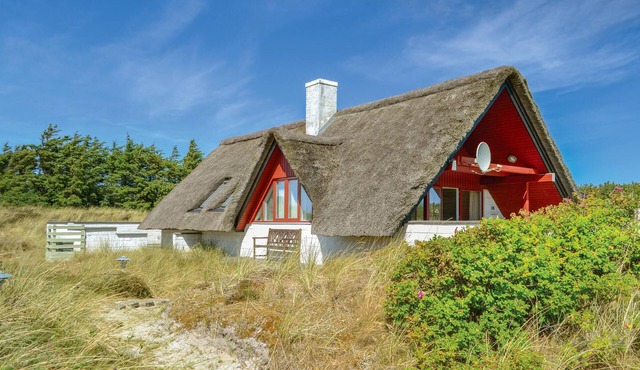 Pet friendly home in Hvide Sande with WiFi