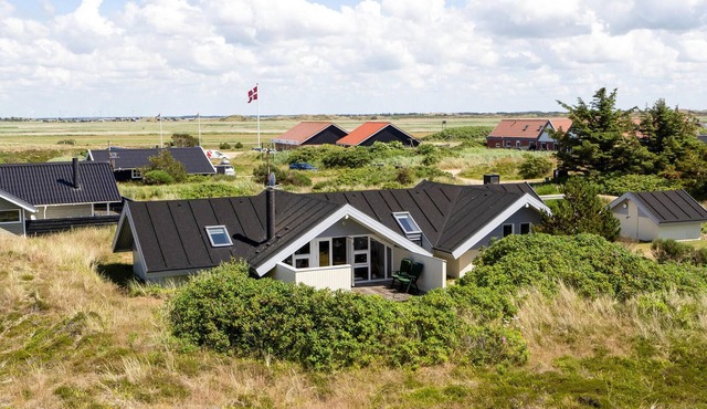 Pet friendly home in Hvide Sande with WiFi