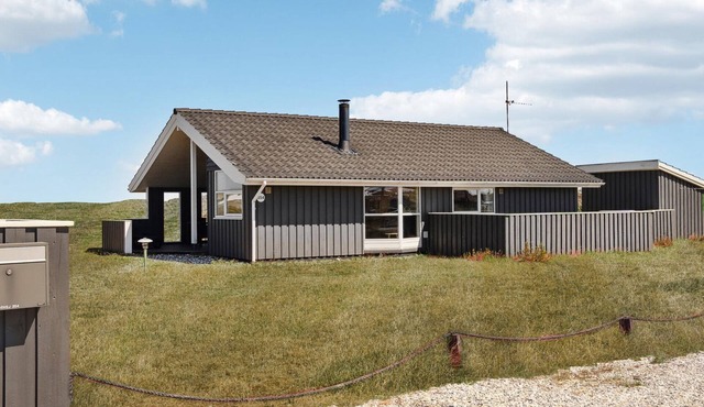 Pet friendly home in Hvide Sande