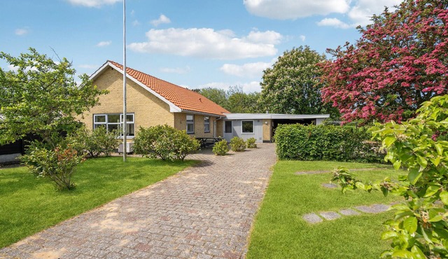 Pet friendly home in Nørre Nebel