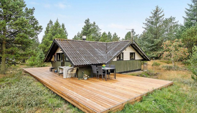 Pet friendly home in Nørre Nebel with WiFi