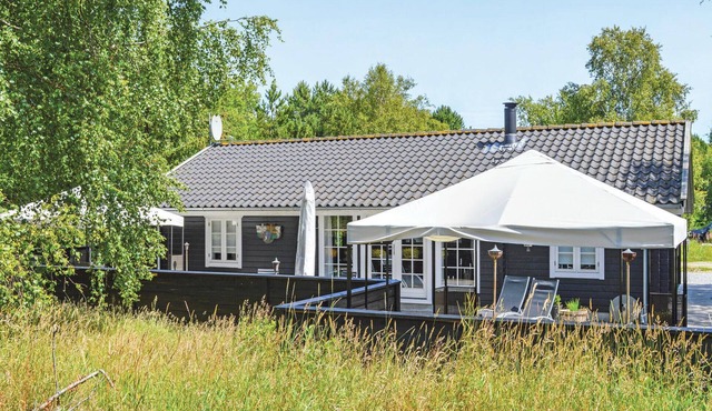 Pet friendly home in ålbæk with WiFi