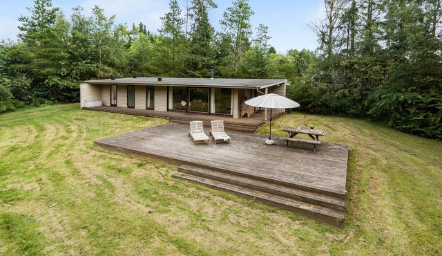 Pet friendly home in Bording with WiFi