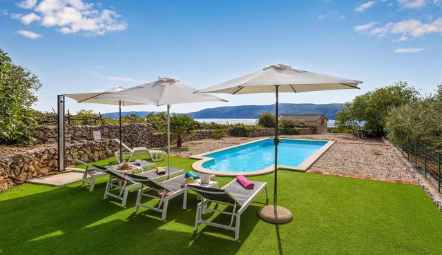 Pet friendly home in Brzac with WiFi