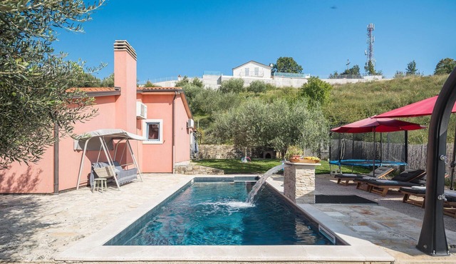 Pet friendly home in Buje