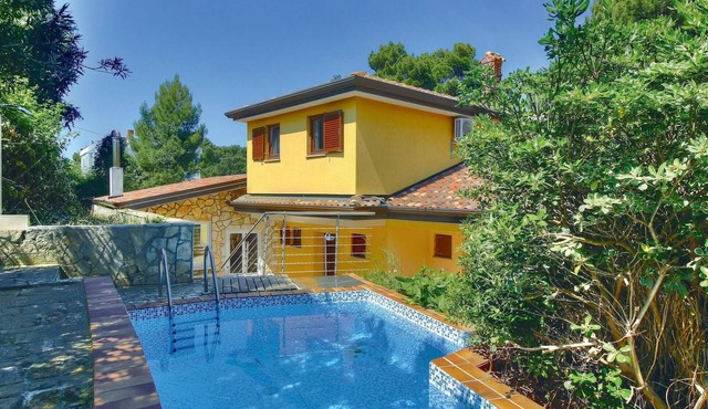 Pet friendly home in Buje