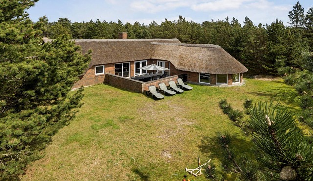 Pet friendly home in Ringkøbing