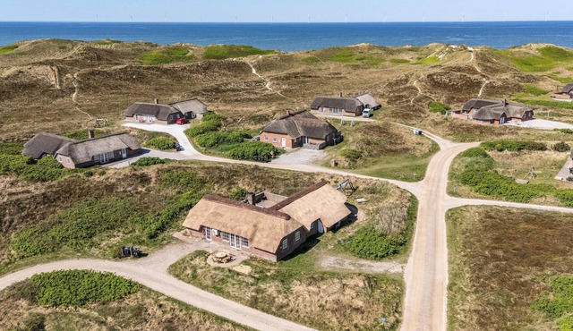 Pet friendly home in Ringkøbing