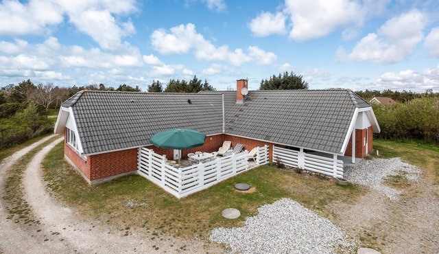 Pet friendly home in Ringkøbing