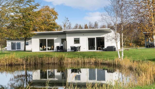 Pet friendly home in Ringkøbing