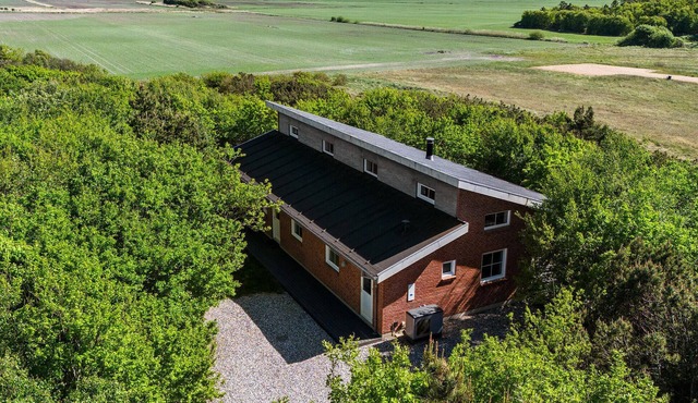 Pet friendly home in Ringkøbing with sauna