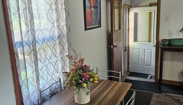 Pet-Friendly Home in Downtown Balaton