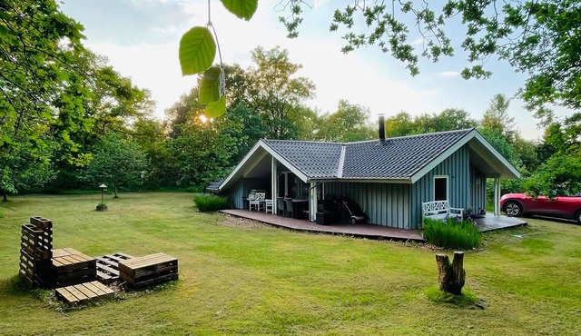 Pet friendly home in Give with sauna