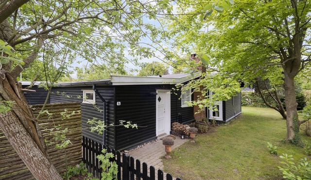 Pet friendly home in Hornbæk with WiFi