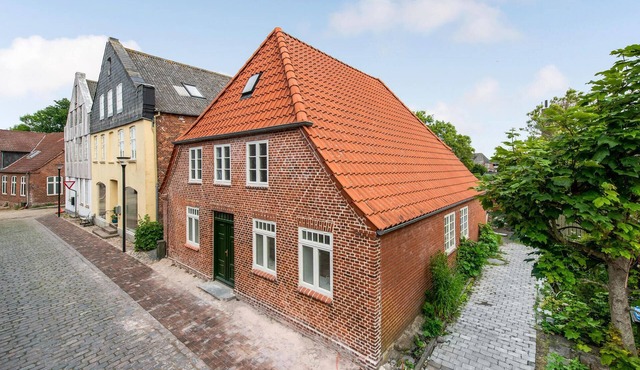 Pet friendly home in Højer with kitchen
