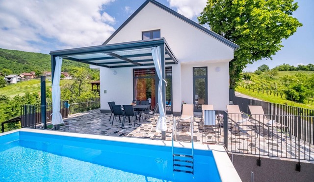Pet friendly home in Ivancici