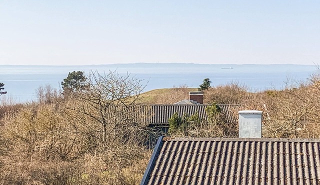 Pet friendly home in Knebel with sauna