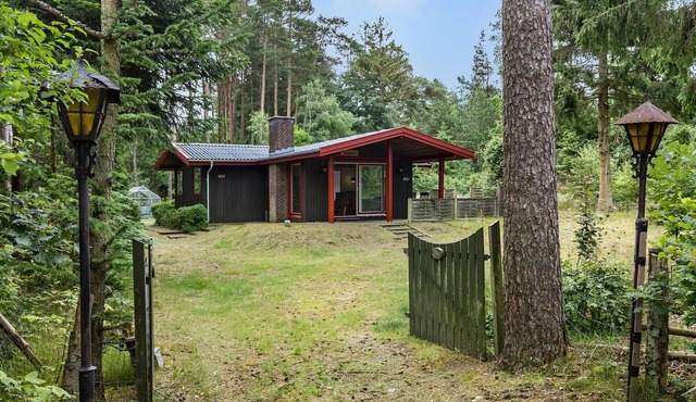 Pet friendly home in Kolind with WiFi