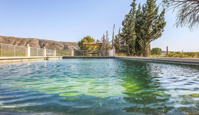 Pet friendly home in Murcia with swimming pool