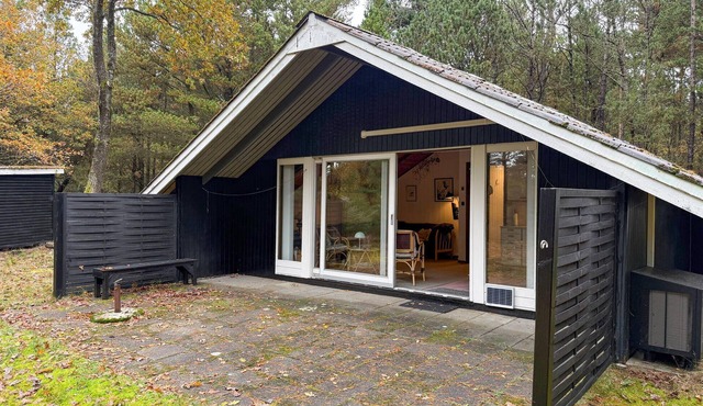 Pet friendly home in Oksbøl with WiFi