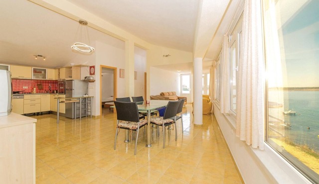 Pet friendly home in Povljana with WiFi