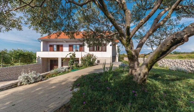 Pet friendly home in Privlaka with WiFi