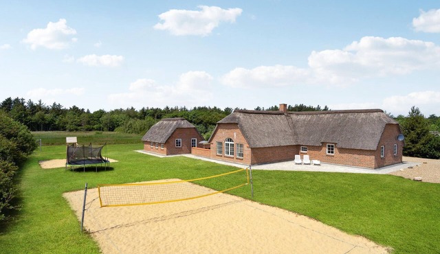 Pet friendly home in Ulfborg