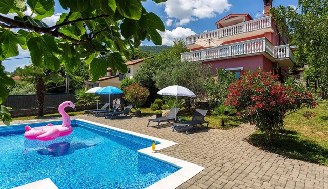 Pet friendly home in Veprinac