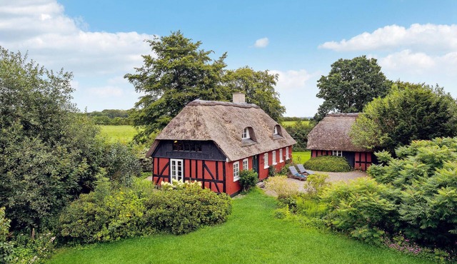 Pet friendly home in Vejle with kitchen