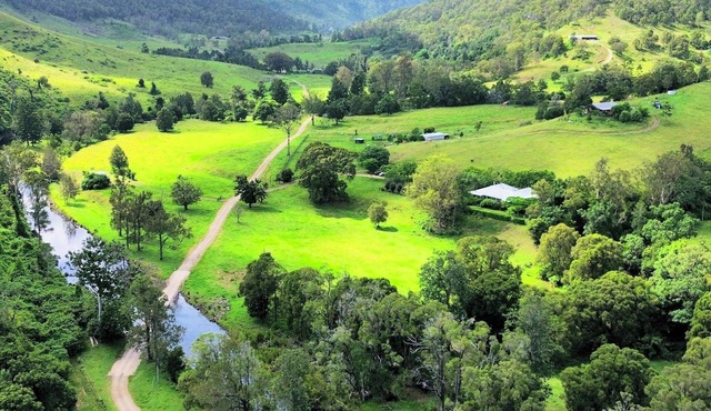 Pet friendly homestead situated on 160 acre farm on Canungra Creek