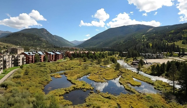 Pet-friendly Hotel, Outdoor Jacuzzi! 4 Relaxing Units, Free Shuttle, Breakfast!