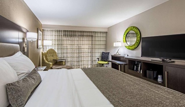 Pet-Friendly Hotel Perfect for Family & Business Stays | Near Dowtown