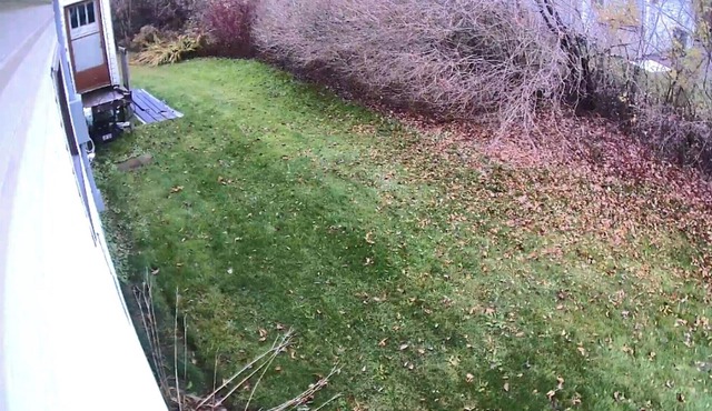 Pet friendly house available with large yard, lots of parking,Close to ammenties