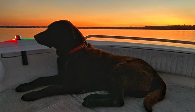 Pet Friendly house on Fish River, private pier with kayaks