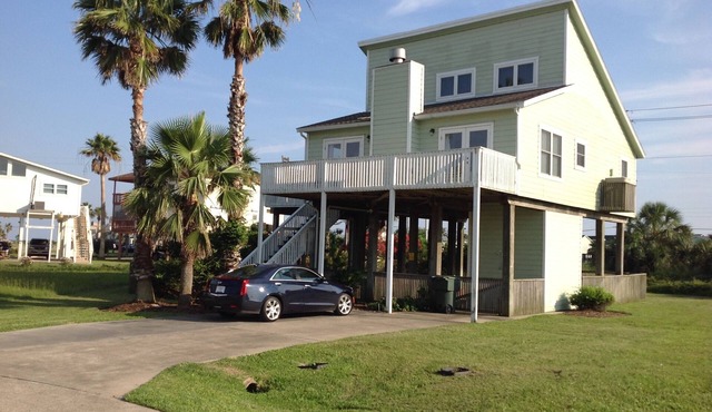 Pet-friendly in Pirates Beach
